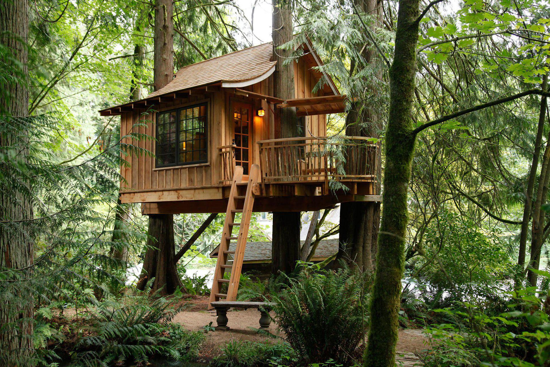 Tiny Tree House